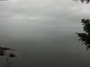 ./images/koeye/fitz-hugh/20200913/fitz-hugh20200913_101002.jpg