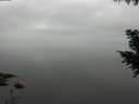 ./images/koeye/fitz-hugh/20200913/fitz-hugh20200913_101502.jpg