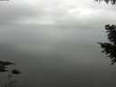 ./images/koeye/fitz-hugh/20200913/fitz-hugh20200913_102002.jpg
