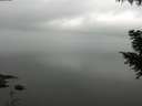 ./images/koeye/fitz-hugh/20200913/fitz-hugh20200913_102502.jpg