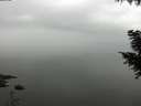 ./images/koeye/fitz-hugh/20200913/fitz-hugh20200913_103502.jpg
