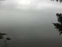 ./images/koeye/fitz-hugh/20200913/fitz-hugh20200913_104002.jpg