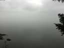 ./images/koeye/fitz-hugh/20200913/fitz-hugh20200913_104502.jpg