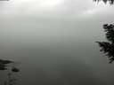 ./images/koeye/fitz-hugh/20200913/fitz-hugh20200913_105002.jpg