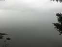./images/koeye/fitz-hugh/20200913/fitz-hugh20200913_105501.jpg