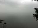 ./images/koeye/fitz-hugh/20200913/fitz-hugh20200913_110501.jpg