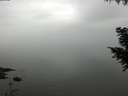 ./images/koeye/fitz-hugh/20200913/fitz-hugh20200913_111001.jpg