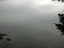 ./images/koeye/fitz-hugh/20200913/fitz-hugh20200913_111501.jpg