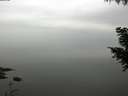 ./images/koeye/fitz-hugh/20200913/fitz-hugh20200913_112001.jpg