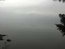 ./images/koeye/fitz-hugh/20200913/fitz-hugh20200913_112501.jpg