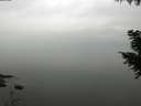 ./images/koeye/fitz-hugh/20200913/fitz-hugh20200913_113501.jpg