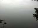 ./images/koeye/fitz-hugh/20200913/fitz-hugh20200913_114001.jpg