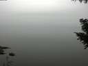 ./images/koeye/fitz-hugh/20200913/fitz-hugh20200913_114501.jpg