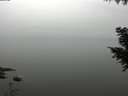 ./images/koeye/fitz-hugh/20200913/fitz-hugh20200913_115001.jpg