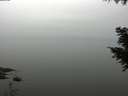 ./images/koeye/fitz-hugh/20200913/fitz-hugh20200913_115501.jpg