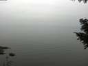 ./images/koeye/fitz-hugh/20200913/fitz-hugh20200913_120001.jpg