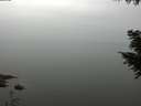 ./images/koeye/fitz-hugh/20200913/fitz-hugh20200913_120501.jpg