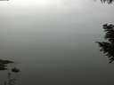 ./images/koeye/fitz-hugh/20200913/fitz-hugh20200913_121001.jpg