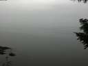 ./images/koeye/fitz-hugh/20200913/fitz-hugh20200913_121501.jpg