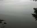 ./images/koeye/fitz-hugh/20200913/fitz-hugh20200913_122001.jpg