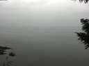 ./images/koeye/fitz-hugh/20200913/fitz-hugh20200913_122501.jpg