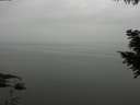 ./images/koeye/fitz-hugh/20200913/fitz-hugh20200913_123501.jpg