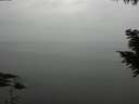 ./images/koeye/fitz-hugh/20200913/fitz-hugh20200913_124001.jpg
