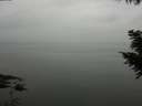 ./images/koeye/fitz-hugh/20200913/fitz-hugh20200913_124501.jpg