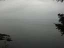 ./images/koeye/fitz-hugh/20200913/fitz-hugh20200913_125002.jpg