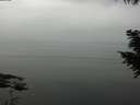 ./images/koeye/fitz-hugh/20200913/fitz-hugh20200913_125501.jpg