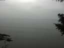 ./images/koeye/fitz-hugh/20200913/fitz-hugh20200913_130502.jpg