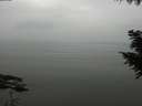 ./images/koeye/fitz-hugh/20200913/fitz-hugh20200913_131002.jpg