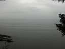 ./images/koeye/fitz-hugh/20200913/fitz-hugh20200913_131502.jpg