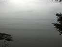 ./images/koeye/fitz-hugh/20200913/fitz-hugh20200913_132002.jpg