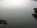 ./images/koeye/fitz-hugh/20200913/fitz-hugh20200913_133502.jpg