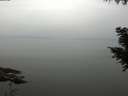 ./images/koeye/fitz-hugh/20200913/fitz-hugh20200913_134002.jpg