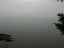 ./images/koeye/fitz-hugh/20200913/fitz-hugh20200913_134502.jpg