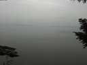 ./images/koeye/fitz-hugh/20200913/fitz-hugh20200913_135002.jpg
