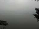 ./images/koeye/fitz-hugh/20200913/fitz-hugh20200913_135502.jpg