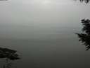 ./images/koeye/fitz-hugh/20200913/fitz-hugh20200913_140002.jpg
