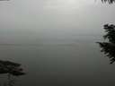 ./images/koeye/fitz-hugh/20200913/fitz-hugh20200913_140501.jpg