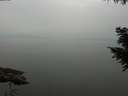 ./images/koeye/fitz-hugh/20200913/fitz-hugh20200913_141001.jpg