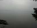 ./images/koeye/fitz-hugh/20200913/fitz-hugh20200913_141501.jpg