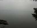 ./images/koeye/fitz-hugh/20200913/fitz-hugh20200913_142001.jpg