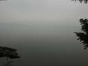 ./images/koeye/fitz-hugh/20200913/fitz-hugh20200913_142501.jpg