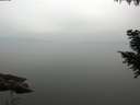 ./images/koeye/fitz-hugh/20200913/fitz-hugh20200913_143501.jpg