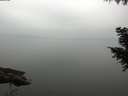 ./images/koeye/fitz-hugh/20200913/fitz-hugh20200913_144001.jpg