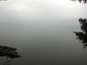 ./images/koeye/fitz-hugh/20200913/fitz-hugh20200913_144501.jpg