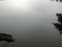 ./images/koeye/fitz-hugh/20200913/fitz-hugh20200913_145001.jpg