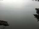 ./images/koeye/fitz-hugh/20200913/fitz-hugh20200913_145501.jpg